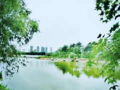 -通辽森林公园