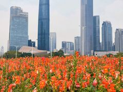 -海心沙亚运公园