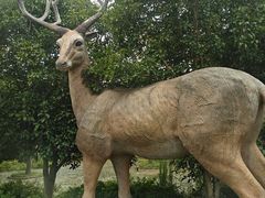 -溱湖国家湿地公园