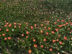 -长春公园(普阳街道)