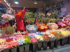 -大自然花鸟鱼虫市场
