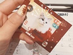 -滚猫咖啡·猫咖·猫友好撸猫(未来城店)