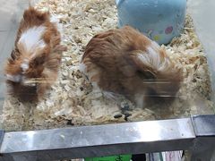 -三旗百汇商品城