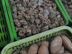 -凯华海鲜火锅·传承三十六年