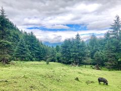 -硗碛藏寨·神木垒景区