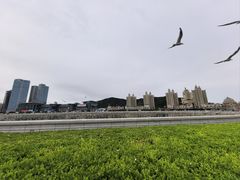 -星海湾跨海大桥