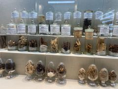 -广东中医药博物馆