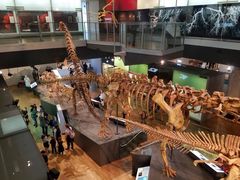 -墨尔本博物馆(Melbourne Museum)