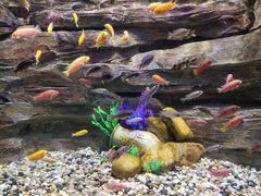 -多彩贵州城极地海洋世界