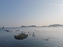 -燕窝岭