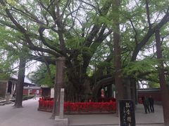-浮来山风景区