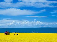 -青海湖国家重点风景名胜区