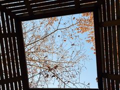 -春晖园度假酒店温泉