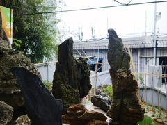 -南京老山国家森林公园