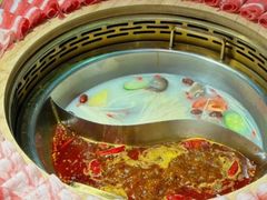 -蜀大侠火锅(森兰花园城店)
