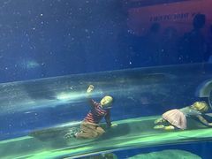 -瑞普利水族馆