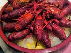 -一绪に寿喜烧(虹悦城店)