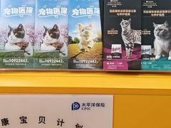 -渲嗳动物医院(异宠·复杂内科转诊中心·玖洲道富华里分院)