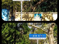 -八大关景区