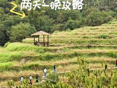 -石台牯牛降景区