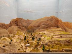 -陕西自然博物馆