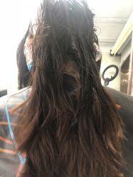 -MYCOLORHARSALON