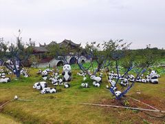 -上海海湾国家森林公园