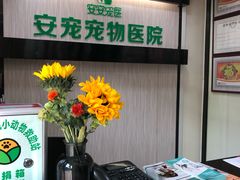 -安安宠医宠物医院·异宠·犬猫内科(岳阳分院)