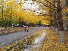 -辽宁大学(崇山校区)