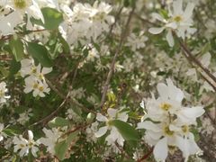 -长春公园(普阳街道)