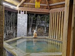 -张家港金凤凰度假村温泉