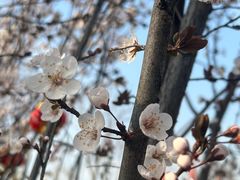 -祥源·阜阳生态乐园