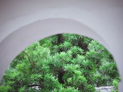 -三苏祠