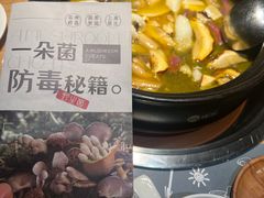 -一朵菌·野生菌探索家火锅(南亚店)