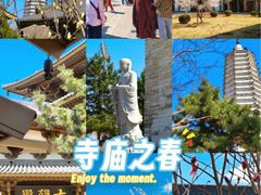 -舍利塔滩地公园-无垢净光舍利塔