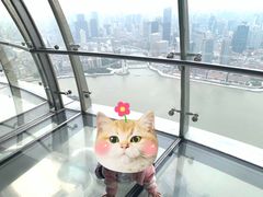 -东方明珠广播电视塔