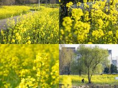 -东南大学(九龙湖校区)