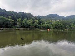 -广州市帽峰山景区