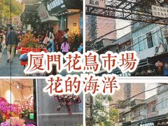 -溪岸路花鸟市场