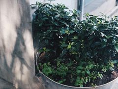 -春庄咖啡SpringHues(钟楼小区店)
