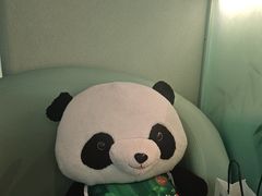 -眉州东坡·熊猫主题餐厅(枫蓝店)