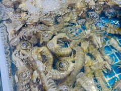 -集品鲜湾·蒸汽海鲜自助料理(青岛银座和谐广场店)