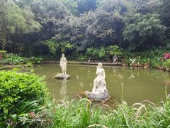 -深圳仙湖植物园