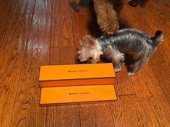 -爱马仕 HERMES(上海ifc商场店)