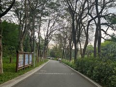-东莞植物园