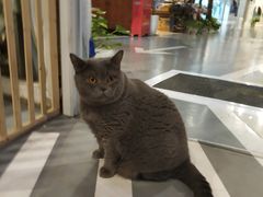 -小时光咖啡馆(开森度假森林店)