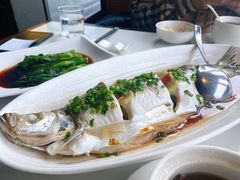 招牌清蒸钱塘江白条-柳莺湖上·湖景餐厅·江南菜(西湖店)