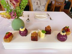 -蝶舍·MAISON PAPILLON