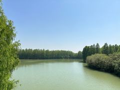 -上海海湾国家森林公园