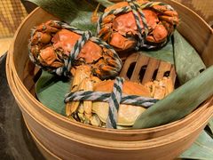 -都喜天丽富都青枫苑酒店-青枫小筑